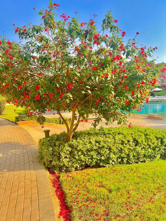 Apartment Ultra Luxury 3br With Pools ,sports ,dining In Gated Compound, Close To Sites